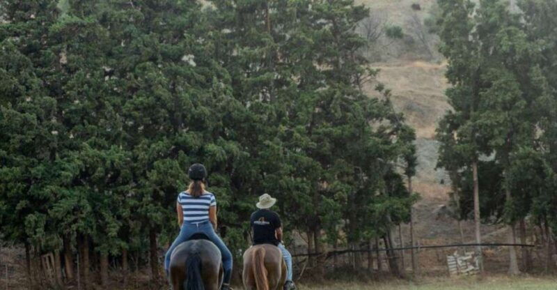 crete-horse-riding-cretan-countryside-ride