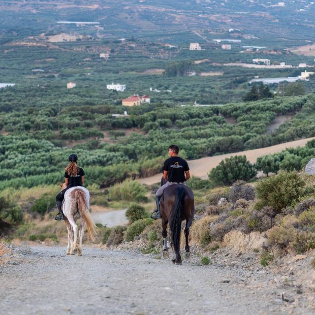 crete-horse-riding-cretan-countryside-ride