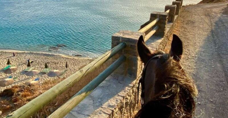 crete-horse-riding-east-coastline-ride