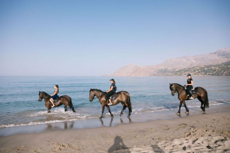 crete-horse-riding-plakias-beach-ride