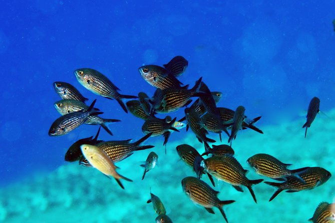 crete-introductory-scuba-diving-experience-2