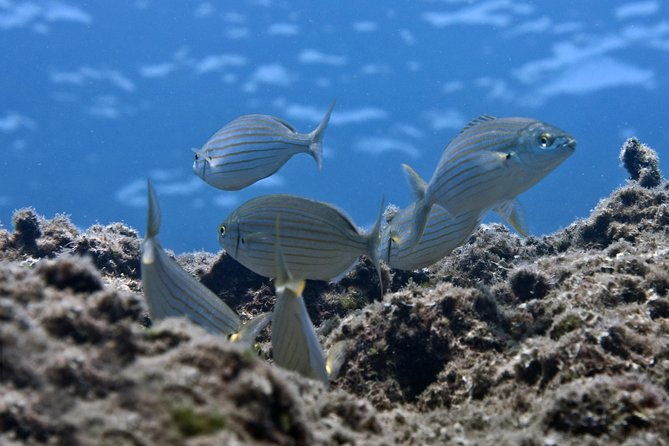 crete-introductory-scuba-diving-experience