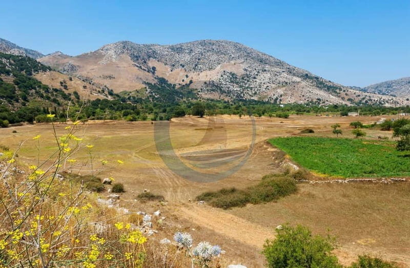 Crete: Knossos Palace, Lasithi, Olive Oil Factory Tour - Key Points