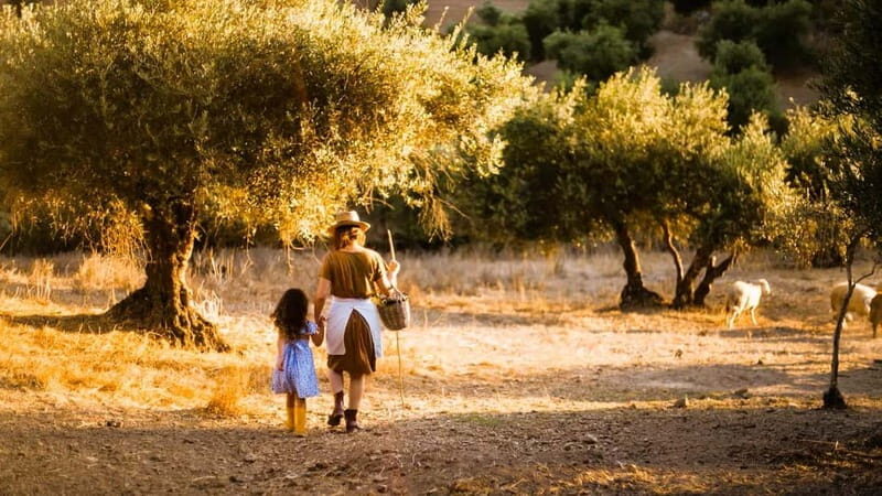 Crete: Knossos Palace, Olive Oil Tasting, and Heraklion Tour - Key Points