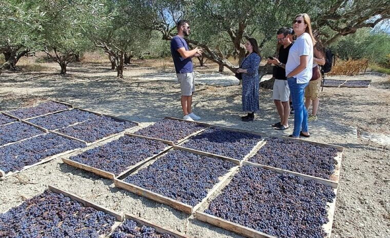 crete-knossos-palace-winery-olive-oil-tour-with-lunch