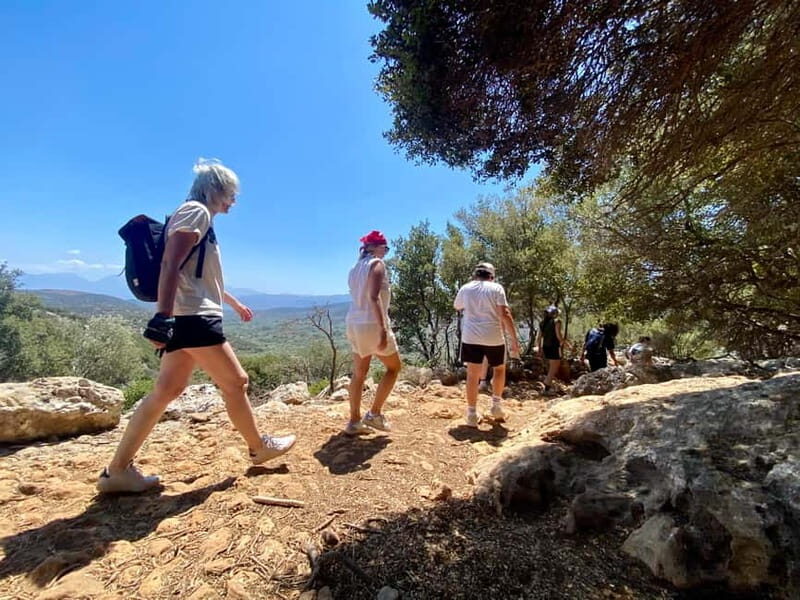 Crete: Kritsa Canyon Guided Hiking Tour - Authentic Experiences Backed by Rave Reviews
