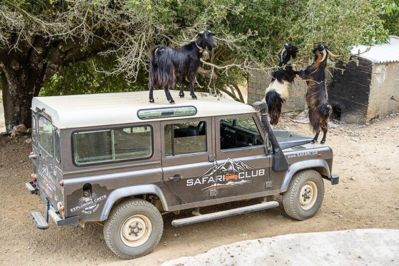 crete-land-rover-safari-on-minoan-route