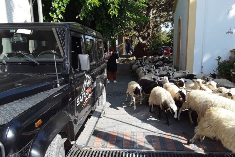 crete-land-rover-safari-on-minoan-route