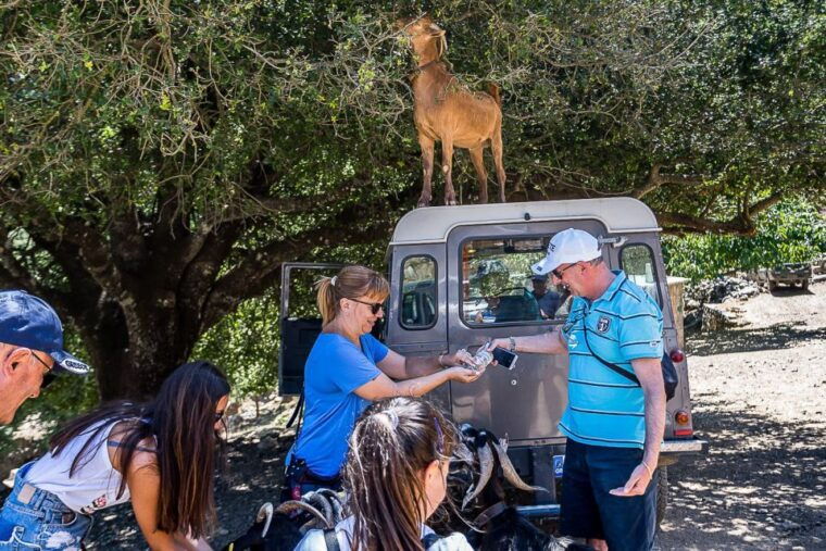 crete-land-rover-safari-on-minoan-route