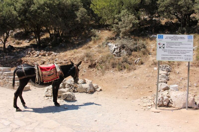 crete-land-rover-safari-through-the-plateaus
