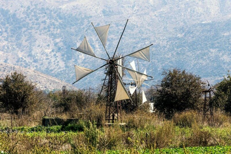 crete-lasithi-lasinthos-krasi-olive-mill-farm-roadtrip