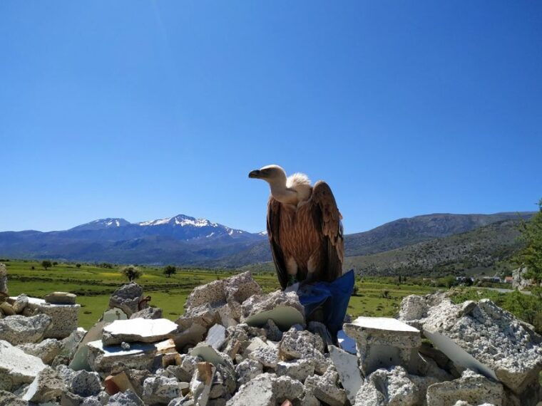 crete-lasithi-plateau-and-cave-of-zeus-off-road-safari-tour