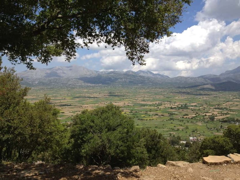 Crete: Lasithi Plateau and Knossos Palace Day Tour - Key Points  