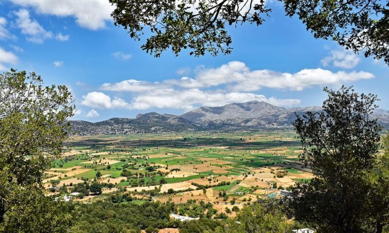 crete-lasithi-plateau-knossos-palace-day-trip