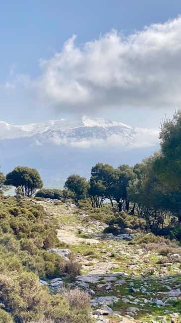 Crete: Lassithi Plateau Guided Hiking Tour - The Experience in Detail