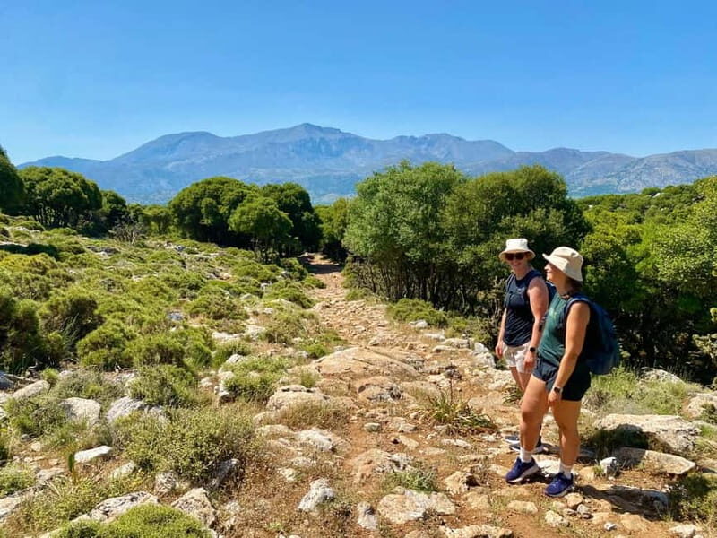 Crete: Lassithi Plateau Guided Hiking Tour - Who Will Love This Tour?