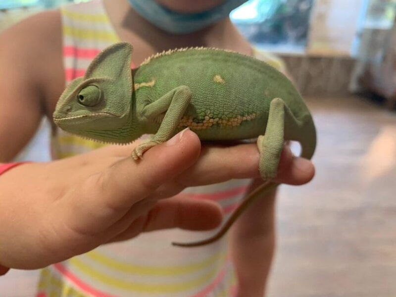 crete-melidoni-cave-honey-olive-oil-reptisland