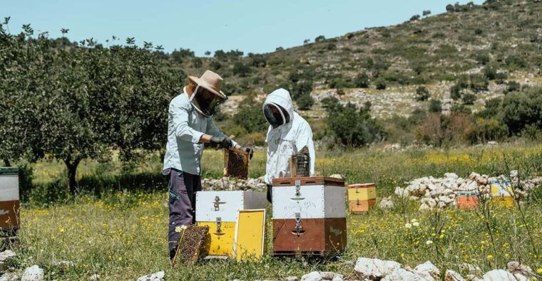 crete-melidoni-cave-honey-olive-oil-reptisland