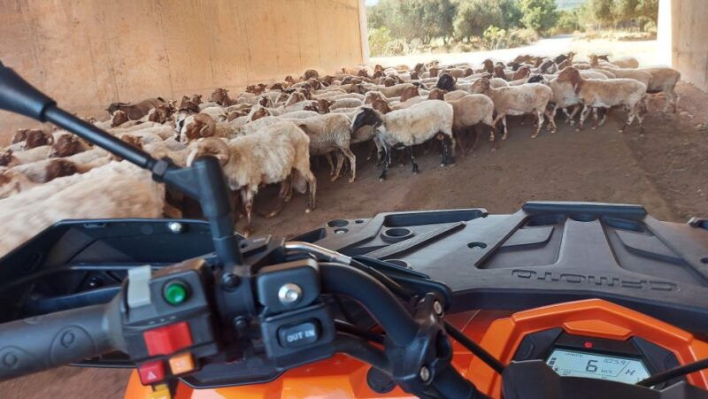 crete-off-road-quad-safari-with-hotel-transfers-and-lunch