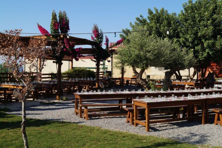 crete-olive-oil-factory-tour-dinner-traditional-dancing
