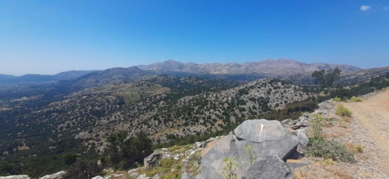 crete-olive-wine-raki-on-a-flavorful-culinary-journey
