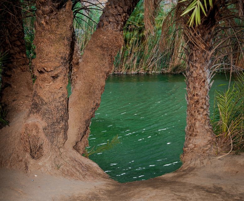 crete-preveli-tropical-beach-and-palm-forest