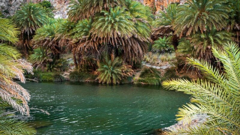 crete-preveli-tropical-beach