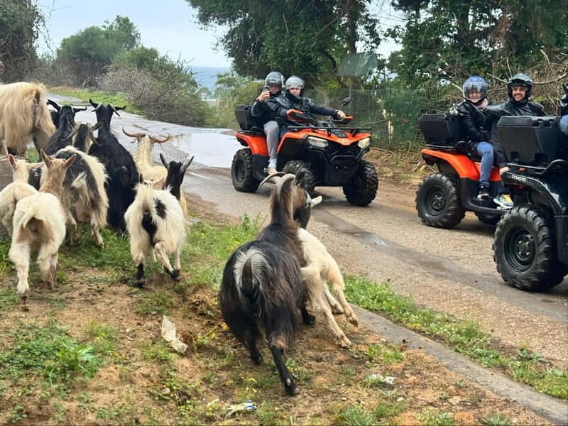 Crete: Quad Safari with Ghost Town Exploration - Who Would Love This Tour?