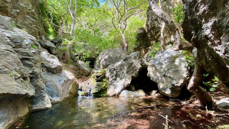 crete-richtis-waterfall-guided-hiking-tour