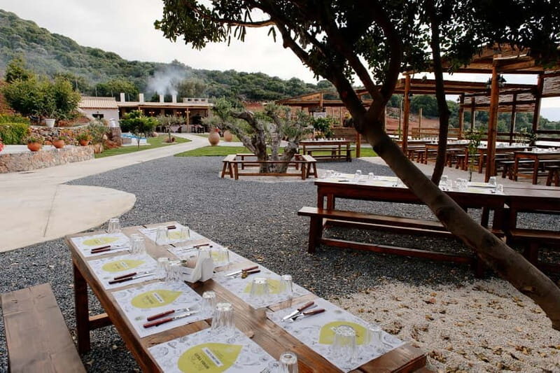 Crete: Road-trip to Lasithi Plateau & Olive Mill Farm - What to Expect on the Crete: Road-trip to Lasithi Plateau & Olive Mill Farm  