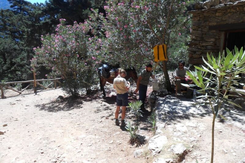crete-samaria-gorge-hiking-with-transfer-and-expert-escort