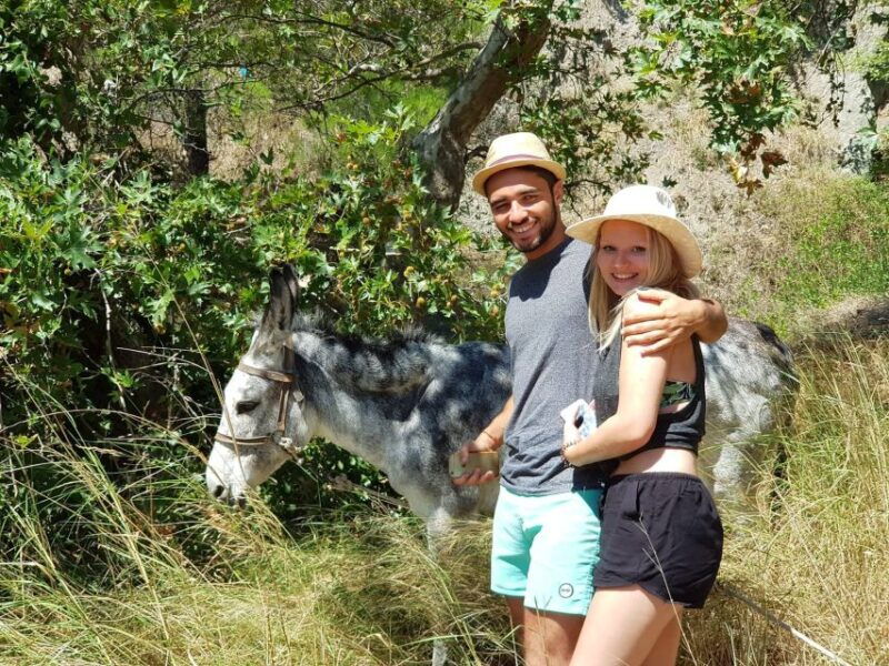 crete-sarakina-gorge-forests-and-south-coast-safari