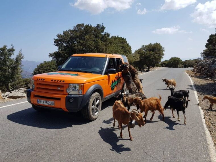 crete-sarakina-gorge-forests-and-south-coast-safari
