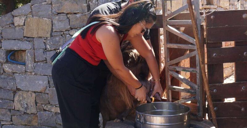 crete-shepherds-life-psiloritis-mountain-tour-with-meal