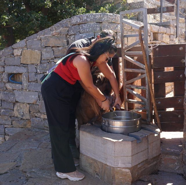 crete-shepherds-life-psiloritis-mountain-tour-with-meal