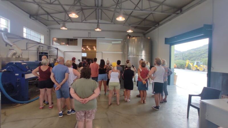 crete-sightseeing-day-trip-with-cooking-lesson-and-lunch
