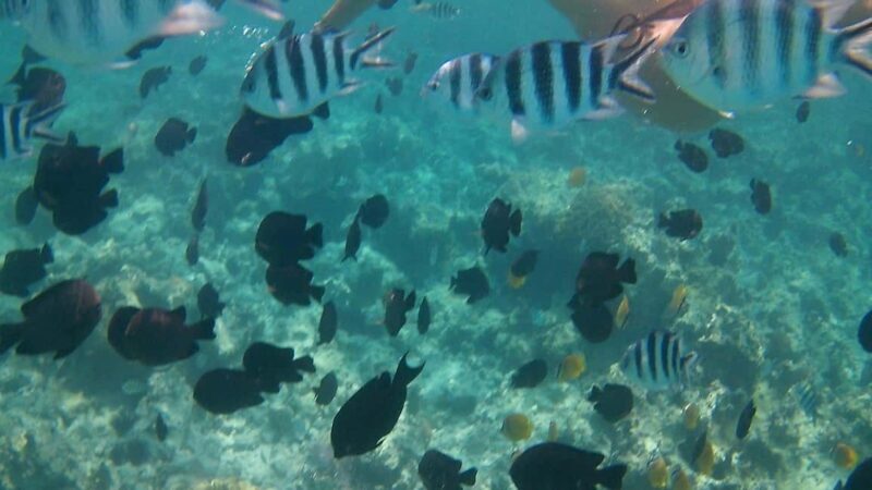 Crete: Snorkel Cretes Hidden Coves by Boat - What We Love About This Tour