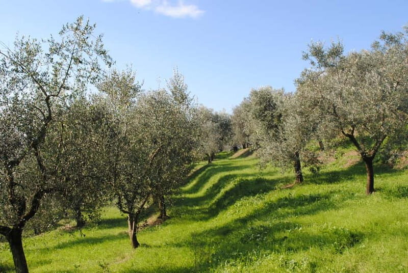 Crete: Sunset & Flavors of Crete Tour in the Countryside - FAQ  