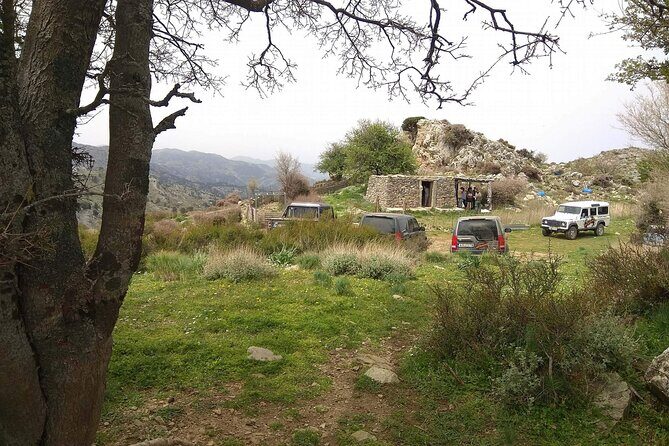 Crete White Mountains Safari Including Lunch - The Food and Drink