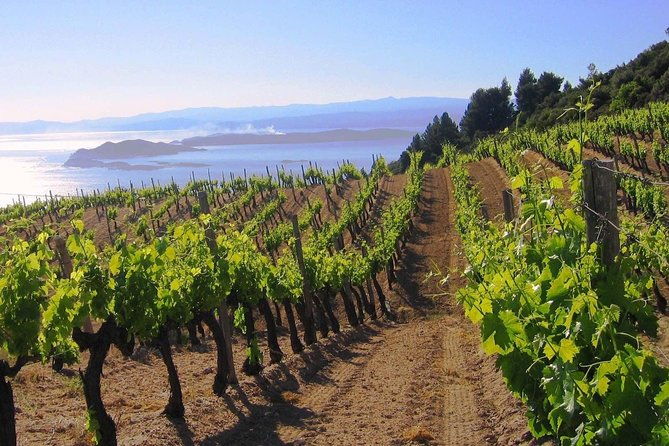 crete-wine-olive-oil-tour