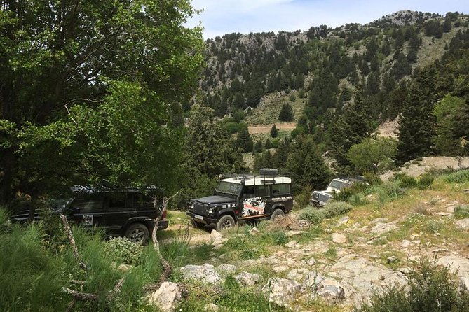 cretes-wine-and-olives-safari-tour-from-chania