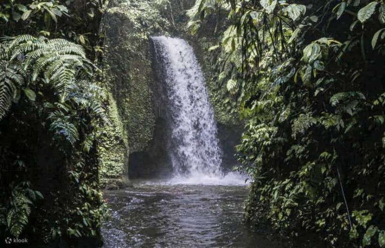 cretya-ubud-infinity-poolhidden-waterfall-temple-lunch