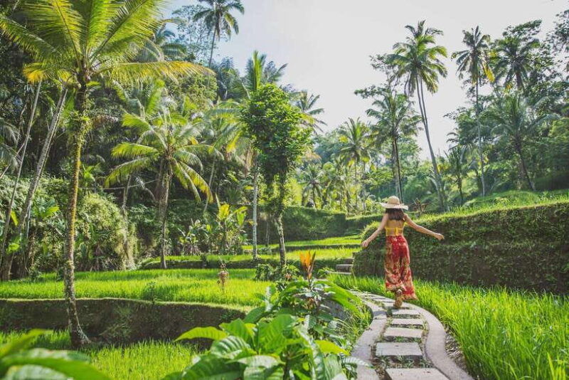 cretya-ubud-rice-terrace-temple-waterfall-day-tour