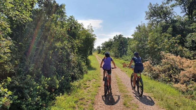 Croatia, Istria: 7-Day Premium Cycling & Gourmet E-Bike Tour - Exploring the Istrian Landscape on Two Wheels