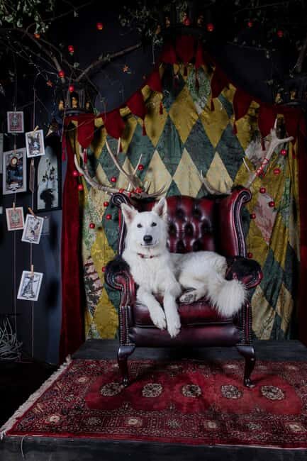 Croatia: Museum of Lost Tales - The Sum Up: Who Will Love the Museum of Lost Tales?