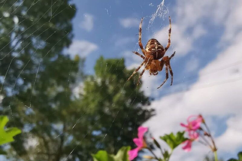 croatia-plitvice-lakes-private-tour-with-hotel-pickup