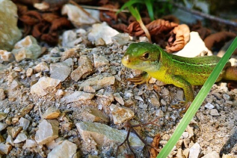 croatia-plitvice-lakes-private-tour-with-hotel-pickup