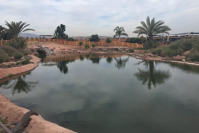 Croco & Anaconda parc Agadir - What You Need to Know: Practical Details