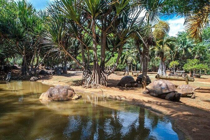 Crocodile Nature Park - Key Points