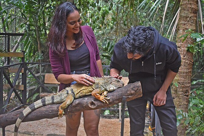 Crocodile Nature Park - Final Thoughts: Who Will Love This Tour?